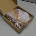 Soulchen 1 Set Christmas Reindeer Porch Goose Outfit 23 Inch Cement Goose Dress Clothes and Headband Costume for Xmas Outdoor Garden Yard Decor