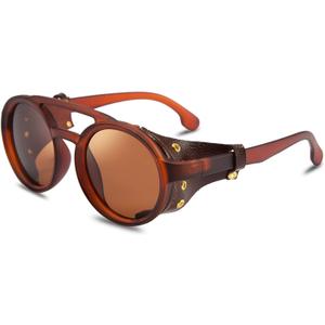 FEISEDY Retro Round Steampunk Sunglasses Women Men Vintage Eyewear Light Plastic Frame with Leatherwear B2532 (Brown)
