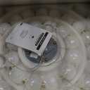 Modern Ring Chandeliers 2 Rings Bubble Chandelier Round Pendant Light Gold, 2-Ring Dia 16"+24"
