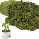 35 OZ Large Capacity Artificial Moss for Potted Plants,Natural Fake Moss Grass for Plants Indoor,Craft and Greenery Bulk for Hamsters(Fresh Green)