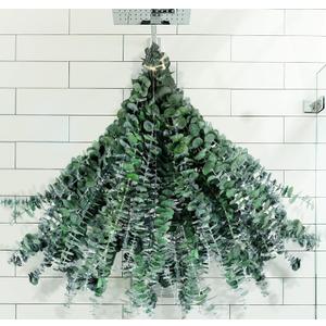 30Pcs Dried Eucalyptus Stems Shower Bundle, 17" Real Natural Eucalyptus for Shower, Fresh Leaves Branches for Vase Filler, Wedding, Farmhouse Decor, DIY Spring Decor, Home Decor