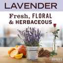 MRS. MEYER'S CLEAN DAY Lavender Soy Candle, Garden-Inspired Aromatherapy Homekeeping, 35 Hour Burn Time, Made with Essential Oils, 7.2 oz Large Glass Jar Candles (Pack of 2)