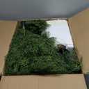 4FT Cypress Tree Artificial Pre-lit Artificial Emerald Green Arborvitae Potted Faux Shrub Bush UV-Resistant Fake Evergreen Privacy Tree with Light for Indoor Outdoor Decor