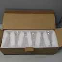 Round 1.3-Oz Shot Glasses, Lead-Free Glass, Clear Heavy Base Shot Glass (Set of 24)