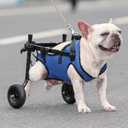 Small Dog Wheelchair for Back Legs - Adjustable Mobility Aid for Disabled Pets, Leg Brace and Hip Support
