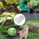 FEED GARDEN 6 Inch 500 Pack Galvanized Landscape Staples Plant Cover Pins 11 Gauge Tent Stakes Garden Stakes Landscaping Fabric SOD Pins Yard Spikes for Decoration Weed Barrier Fabric