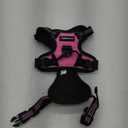 rabbitgoo Dog Harness No Pull with 2 Leash Clips, Adjustable Soft Padded, Reflective Oxford No Choke Pet Vest with Easy Control Handle for Puppy, Hot Pink, XS
