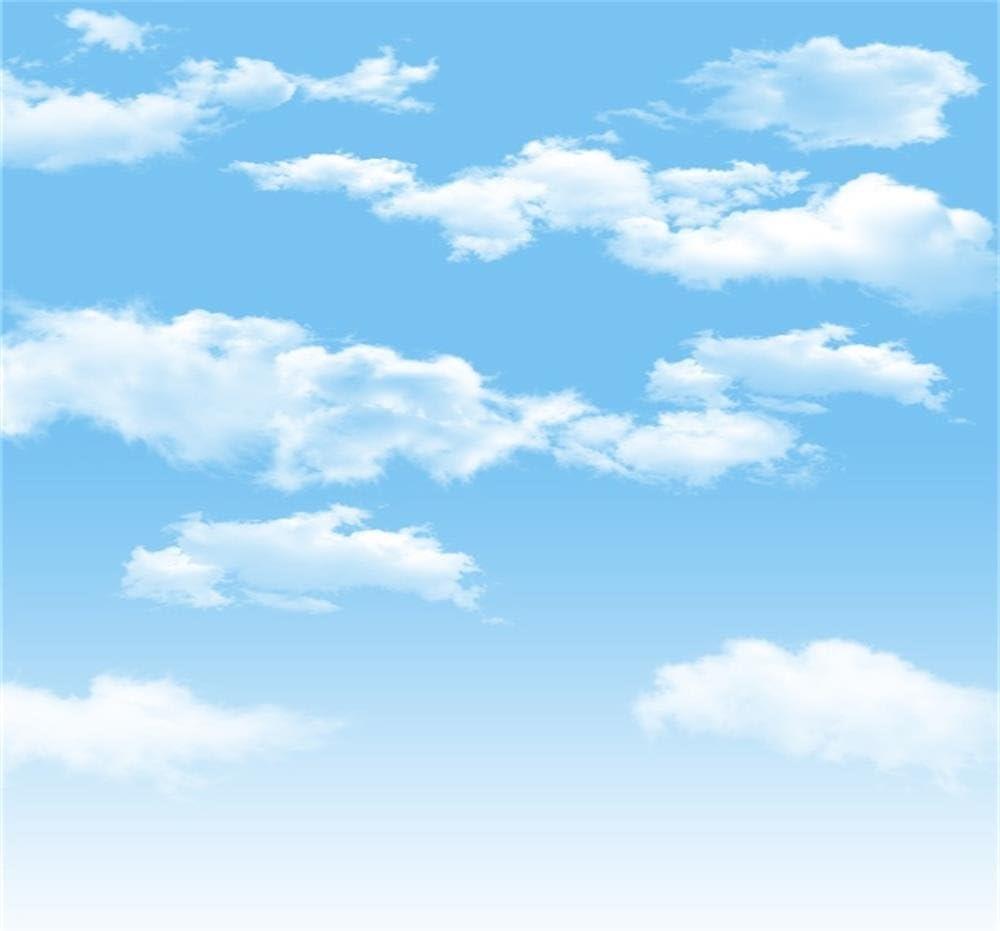 AOFOTO 8x8ft Blue Sky Backdrops White Clouds Photography Background Photo Studio Props Baby Infant Kid Newborn Toddler Girl Boy Adult Artistic Portrait Spring Party Decoration Summer Vinyl Wallpaper