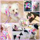 Cute Small Dog Harness and Leash Set Purple Lace Floral Girl Puppy Harness for Small Dogs Cats Soft Mesh Dog Vest Harness Escape Proof Pet Cat Harness Outfits, M