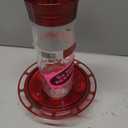 More Birds Bird Health Diamond Hummingbird Feeder, 30oz, Red