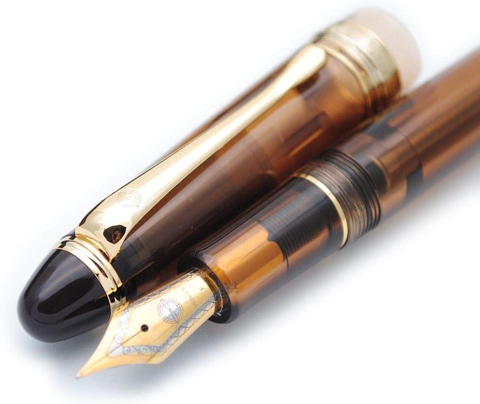 czxwyst 699 Negative Pressure Vaccum Filling Fountain Pen Original Box (Brown with Translucent Grip, Fine Nib 0.5mm)