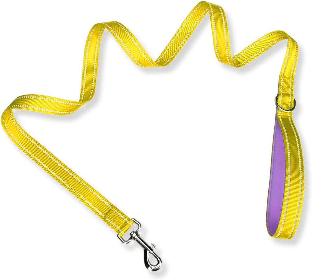 PHOEPET 5 Feet Dog Leash - Dual-Side Reflective - Soft Padded Handle - Fit for Walking, Training or Exploring Hiking, Camping (Yellow + Baby Purple Base) (L(Width: 1"))