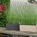 FOIMAS 12pcs Artificial Grass Plants,19.68" Faux Shrubs Wheat Grass Greenery Stems Fake Plants for Indoor Outdoor Home Decoration