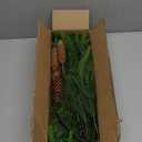 16 Pcs Christmas Greenery Pine Branches, 18" Fake Norfolk Pine Stems and 10 Pack Pinecone Stems, Real Touch Norfolk Pine Evergreen Garland for Winter Xmas Indoor, Front Porch Home Decoration