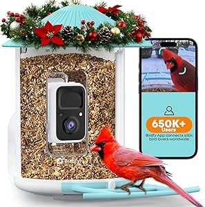 NETVUE by Birdfy Smart Bird Feeder with 2K AI Camera, Auto Capture Videos & Motion Detection, Live Steam, Wireless Wildbird Watching, Ideal Gift for Outdoor Backyard Birder(AI by Subscription)