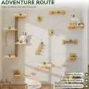 BYBYME 12-PCS Cat Wall Shelves, Pine Climbing System with Space Capsule