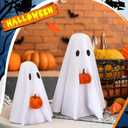 Amyhill 2 Pcs Halloween Ghost Decor Indoor, Spooky Halloween Decorations with Pumpkin Ghost Table Decor for Home Table Centerpiece Shelves Mantel Kitchen Office Fireplace Party (White)