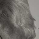 Short Curly Wigs for Women Heat Resistant Synthetic Hair Wave Womens Wigs (Grey)