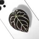 OnTheGrip Cute Acrylic Tropical Leaf Design Collapsible Expandible Mobile Phone Grip Stand Holder for Smartphone Tablet Cell Phone Accessory (Crystallinum Dark)
