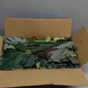 150 Pcs 4 Kinds Mixed Artificial Eucalyptus Leaves Stems Bulk Fake Silver Dollar Eucalyptus Bundle Faux Plants Greenery for DIY Bouquets Floral Arrangement Wedding Engagement Party Decor