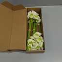 Floroom Ranunculus Artificial Flowers 18 Pcs Green Faux Silk Mini Ranunculus Bulk Fake Wedding Filler Flowers for DIY Bouquets, Centerpieces, Bridal Shower Decorations & Arrangements