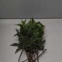 18" Real Touch Cedar Branches -24 Pcs, Artificial Christmas Cedar Branch Realistic Fake Pine Picks Faux Greenery Plants Stem for Vase DIY Crafts Garland Wreath Indoor Outdoor Home Decor