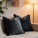Luxurious Velvet Throw Pillow Covers 20x20 Set of 2 Decorative Pillow Covers Solid Square Cushion Case for Sofa Couch Bedroom Farmhouse, Black