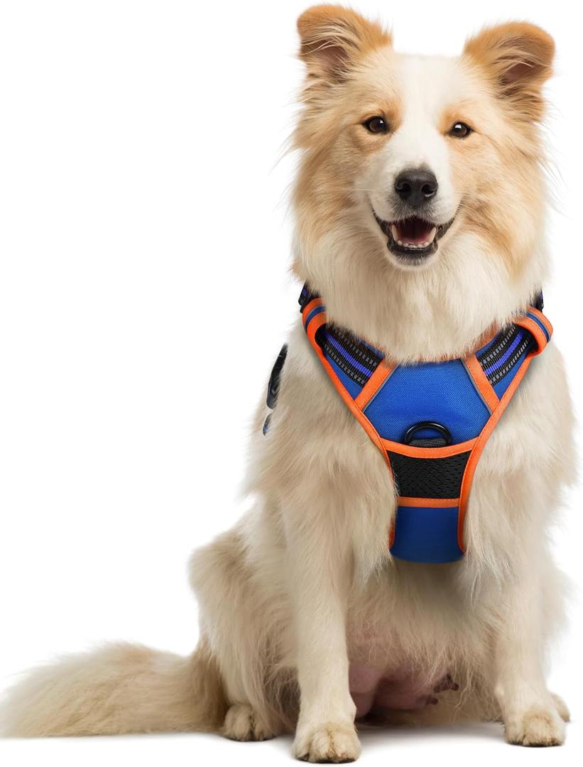 rabbitgoo Dog Harness No Pull with 2 Leash Clips, Adjustable Soft Padded, Reflective Oxford No Choke Pet Vest with Easy Control Handle for Medium Sized Dogs, Blue & Orange, Medium