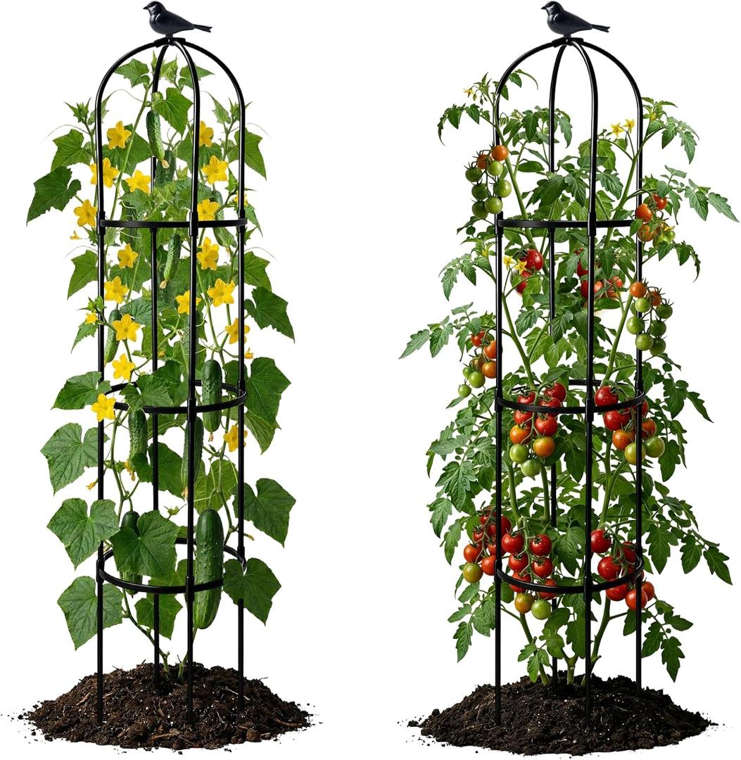 2 Pack Garden Obelisk Trellis for Climbing Plants, 6FT Plant Cages and Supports, Tomato Cage Tall Plant Stakes Indoor & Outdoor, Trellis for Potted Plants, Vegetables, Fruits, Flowers, Pots, Vines