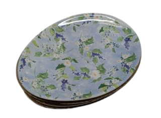(4 pack) floral plates