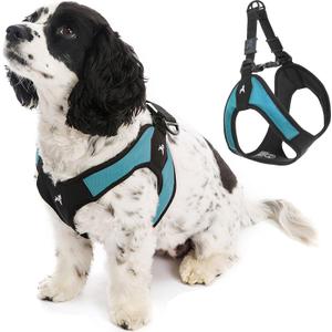 Gooby - Escape Free Easy Fit Harness, Small Dog Step-in Harness for Dogs That Like to Escape Their Harness, Turquoise, Small (Small chest (16~19.25"))