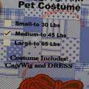 Halloween FX Raggedy Ann Pet Costume Medium