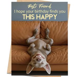 2 x Funny Best Friend Birthday Card, Best Friend Birthday Gift for Women