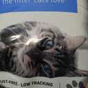 Dr. Elsey's Ultra UnScented Clumping Clay Cat Litter 40 lb. Bag