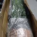 2 Pack Artificial Fern Plants in Pots Artificial Boston Ferns Potted Plants Faux Fern Bush Plant Shrubs Greenery for Outdoor Indoor Porch Patio Farmhouse Garden Living Room Office Table Decor (Type 5)