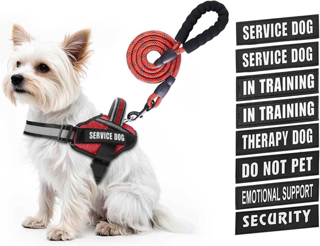 Service Dog Vest Harness and Leash Set, Animire in Training Dog Harness with 10 Dog Patches, Reflective Dog Leash with Soft Padded Handle for Small, Medium, Large, and Extra-Large Dogs