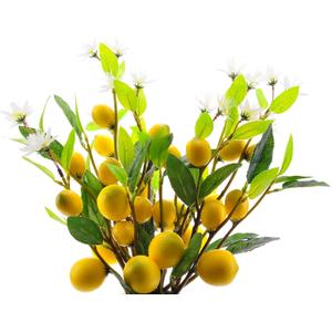Artificial Lemon Fruit Flowers 5pcs, 24 inch Lifelike Handmade Lemon Green Plant, Artificial Plant, Simulated Flower, Artificial Fruit, Suitable for Home, Office, Festival, Flower Decoration