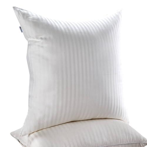 Kingnex Euro Size 26x26 Pillow Inserts for European Throw Pillow Set of 2 Decorative Stuffer 26 x 26