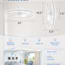ZMISHIBO 24 Inch Ceiling Fans with Lights and Remote, Modern Low Profile Ceiling Fan, 3000-6000K Dimmable Flush Mount LED Fan Light, 6 Wind Speeds, Fandelier Ceiling Fans for Bedroom- White