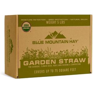 Blue Mountain Hay Organic Garden Straw (5 lb) - Natural Mulch for Gardening, Flower Beds & Landscaping, New Lawn Grass Seeding, Compost, Raised Garden Bed, Cat Grass & Grass Seed