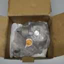 Power Steering Pump Replacement For 1998 1999 2000 2001 2002 Honda Accord 2.3L Power Assist Pump Replace # 96-5919 56110-PAA-A01 21-5919