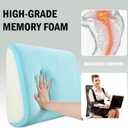 HOMBYS Lumbar Support Pillow for Recliner Chair, Memory Foam Back Support Cushion for Elderly,Extra Large Lumbar Support Pillow,Thick Backrest for Home Reading (Light Grey, 20x13.5"x5")