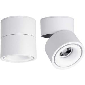 LED Ceiling Spotlight-Indoor 360 Adjustable Surface Mounted 10W COB Ceiling Downlight-Wall Lamp for Picture Background Wall Display Lighting (White,3000K Warm Light)