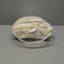 Extra Deep Pocket King Sheets - 4 Piece Breathable & Cooling Bed Sheets - Hotel Luxury Bed Sheet Set - Soft, Wrinkle Free & Comfy - Easily Fits Extra Deep Mattresses - Deep Pocket Off White Sheets Set