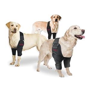 Oteengo Dog Elbow Brace & Protector Pads, Adjustable Shoulder Support Brace, Lightweight Front Leg Brace for Arthritis, Elbow Calluses, Hygroma, and Pressure Sores (Medium)