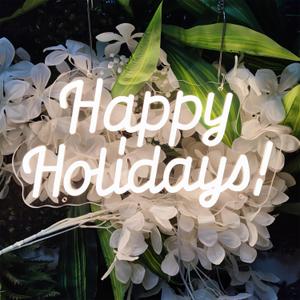 Happy Holiday Neon Sign for Wall Decor,15.4*8.3 Inches Dimmable Letter Neon Signs Warm White Led Neon Light Powered USB for University Dormitory, Room Decoration, Office, Holiday Party,DecoBrilliand