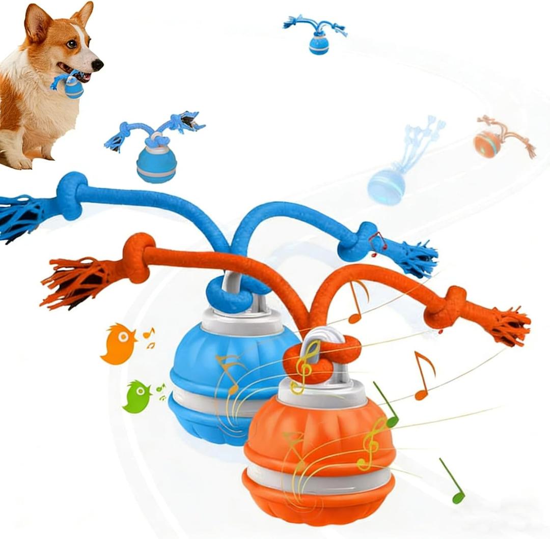2Pack Interactive Dog Toys for Small Dogs Peppy Pet Ball & Chase Buddy Dog Toy Active Rolling Puppy Toys to Keep Them Busy, Daily Training Interactive Puppy Toys