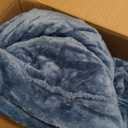 Beautyrest Heated Plush Elect Electric Blanket with 20 Heat Level Setting Controllers Equip with Secure Comfort Technology and 10 Hours Auto Shut Off, King: 90x100, Sapphire,BR54-0661