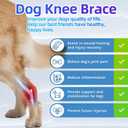 S Dog Knee Brace for Torn Acl Hind Leg for Support with Cruciate Ligament Injury, Better Recovery with Dog Leg Braces for Back Leg, S