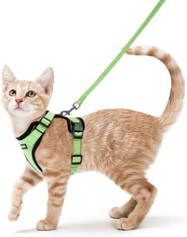 rabbitgoo Cat Harness and Leash for Walking, Escape Proof Soft Adjustable Vest Harnesses for Cats, Easy Control Breathable Reflective Strips Jacket, Light Green, S
